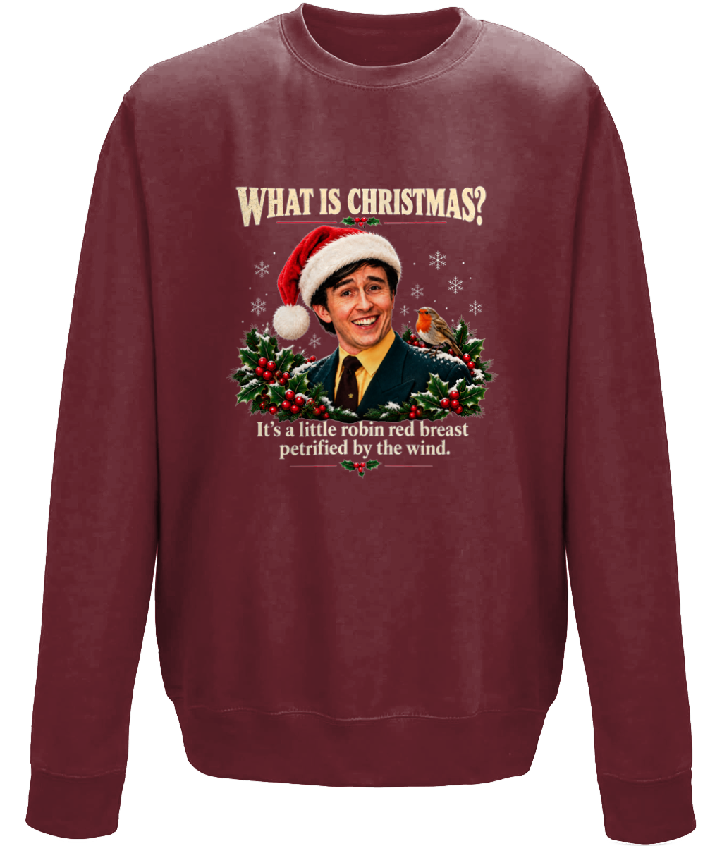 Alan Partridge Christmas Sweater