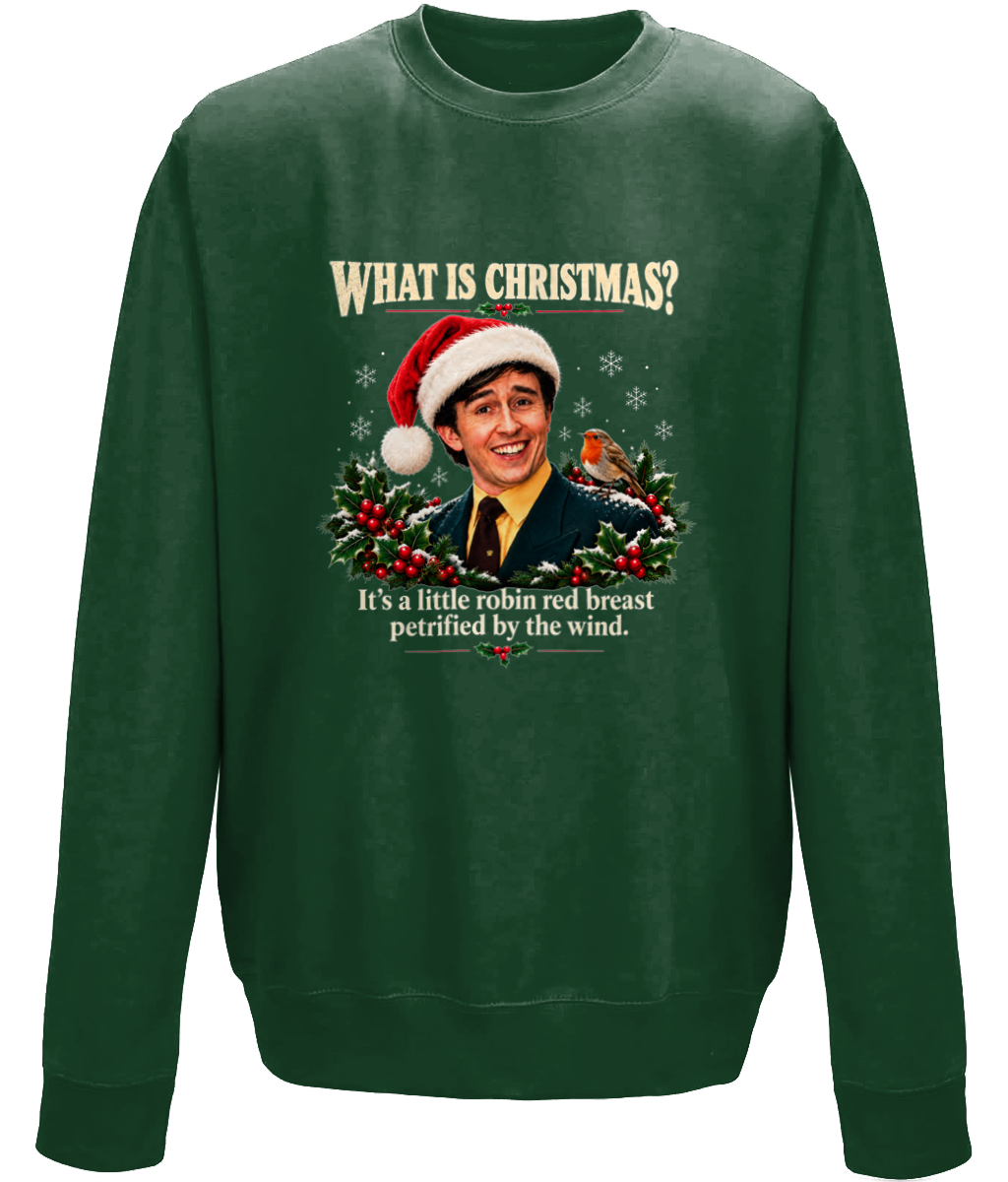 Alan Partridge Christmas Sweater